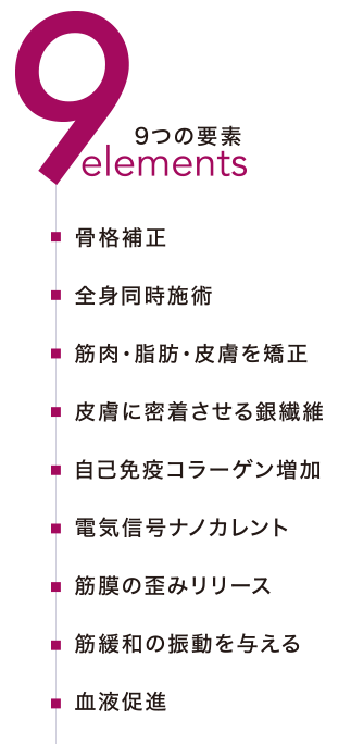 9つの要素 - 骨格補正、全身同時施術、筋肉・脂肪・皮膚を矯正、皮膚に密着させる銀繊維、自己免疫コラーゲン増加、電気信号ナノカレント、筋膜の歪みリリース、筋緩和の振動を与える、血液促進