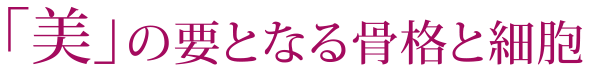 「美」の要となる骨格と細胞