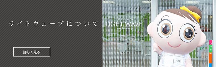 ライトウェーブについて